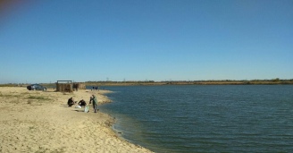 Фото Без труда не выловишь и рыбку из пруда №26